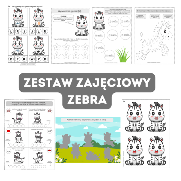 Zestaw zajęciowy ZEBRA