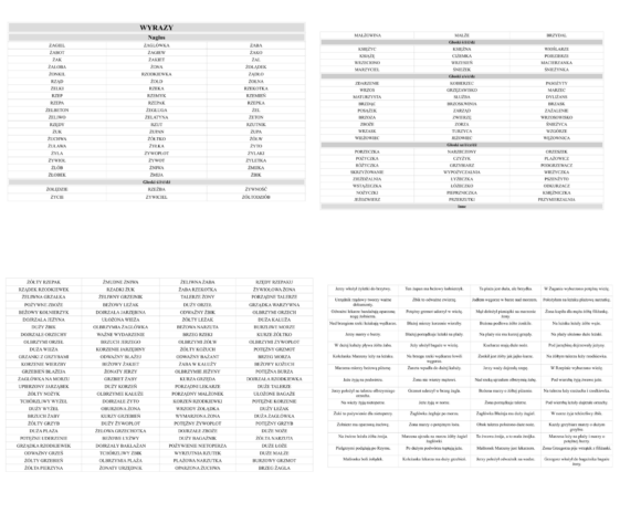 Lista Wyrazowa. Głoska Ż - obrazek 2