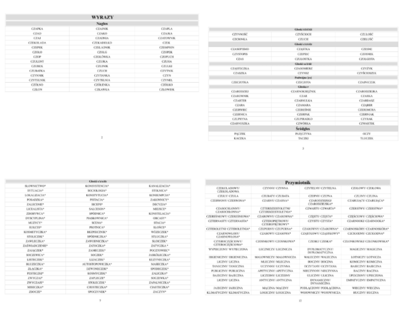 Lista Wyrazowa. Głoska Cz - obrazek 3